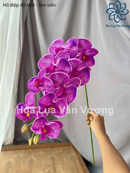 Hồ điệp 4D mới - tím viền - Hồ điệp, lan - Hoa Lụa Vân Vượng