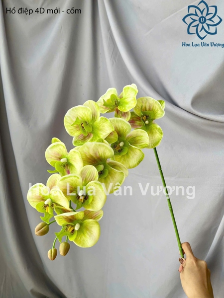 Hồ điệp 4D mới - cốm - Hồ điệp, lan - Hoa Lụa Vân Vượng