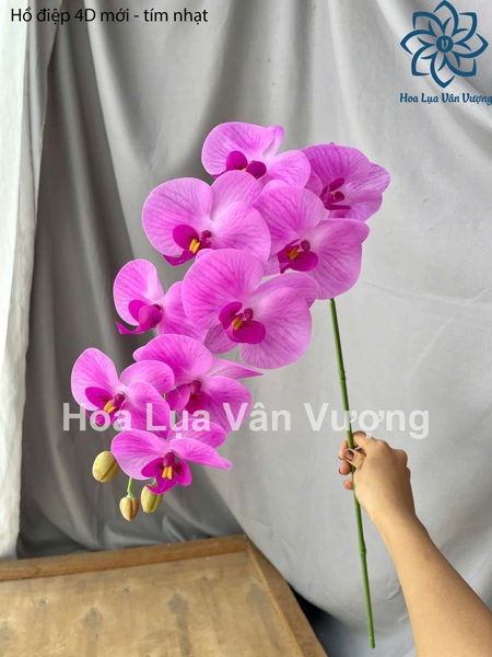 Hồ điệp 4D mới - tím - Hồ điệp, lan - Hoa Lụa Vân Vượng