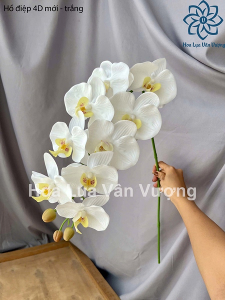 Hồ điệp 4D mới - trắng - Hồ điệp, lan - Hoa Lụa Vân Vượng