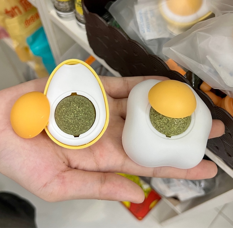 Cỏ Mèo Dán Hình Trứng
