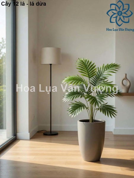 Cây 12 lá - Lá cành dài - Hoa Lụa Vân Vượng