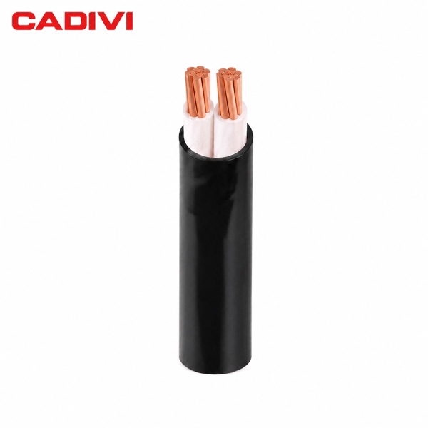 Cáp Điện CXV 2x2.5
