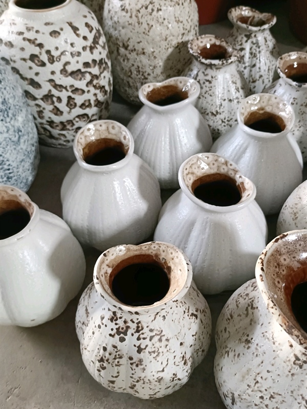 BÌNH CỦ HÀNH S2