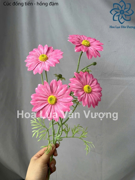 Cúc đồng tiền - hồng đậm - Hoa cành dài - Hoa Lụa Vân Vượng