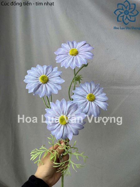 Cúc đồng tiền - tím nhạt - Hoa cành dài - Hoa Lụa Vân Vượng