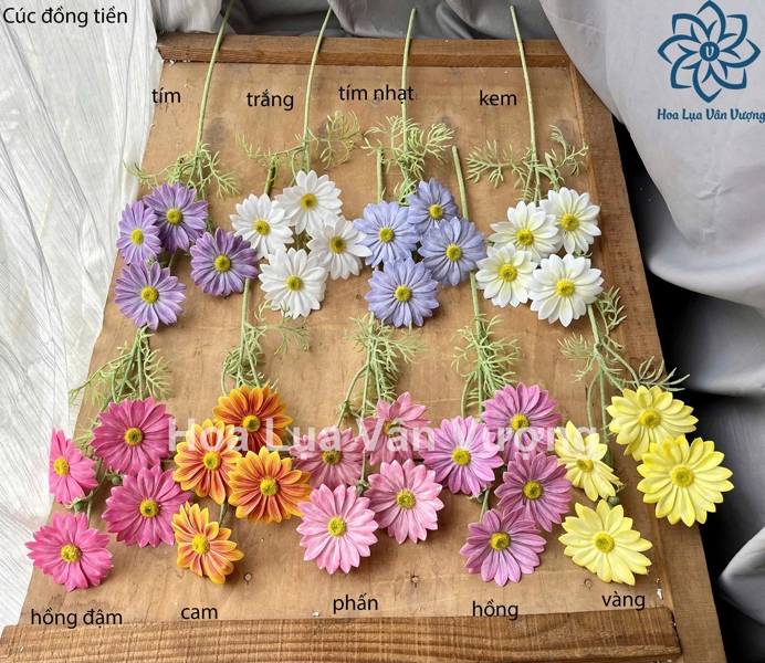 Cúc đồng tiền - Hoa cành dài - Hoa Lụa Vân Vượng