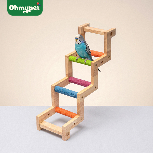 Cầu thang gỗ zigzag nhiều màu cho chim vẹt | OMP