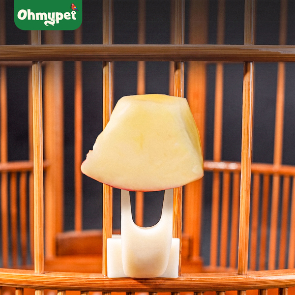 Nĩa ghim trái cây treo lồng chim | OMP