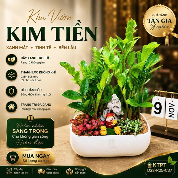 COMBO KIM TIỀN PHÁT TÀI