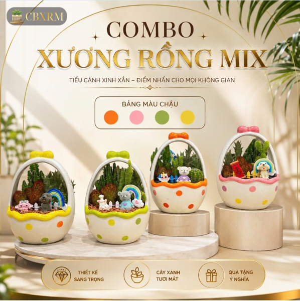 COMBO XƯƠNG RỒNG MIX (THÙNG 20)