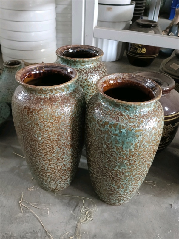 BÌNH XOÀI S1 CAO CT