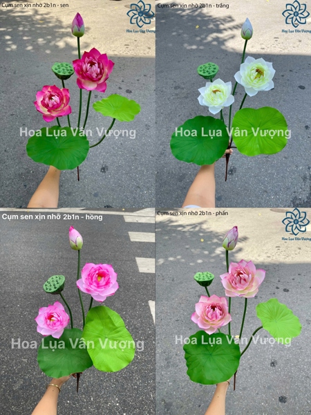 Cụm sen xịn nhỡ 2b1n - trắng - Sen - Hoa Lụa Vân Vượng