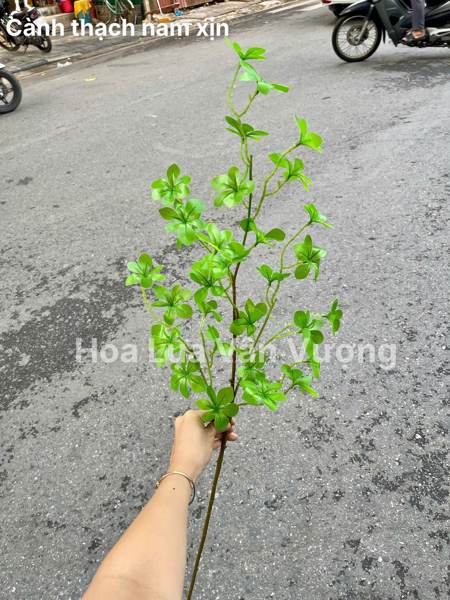 Thạch nam xịn - Lá cành dài - Hoa Lụa Vân Vượng