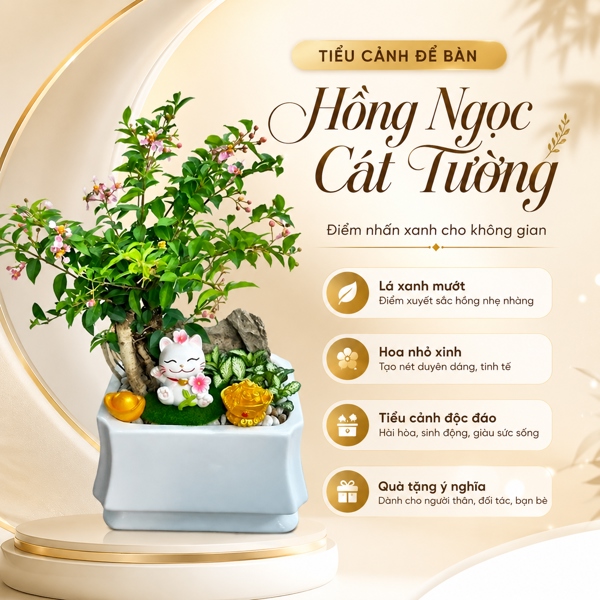 COMBO HỒNG NGỌC CÁT TƯỜNG