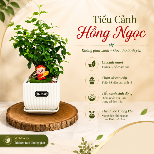 COMBO HỒNG NGỌC TÀI LỘC