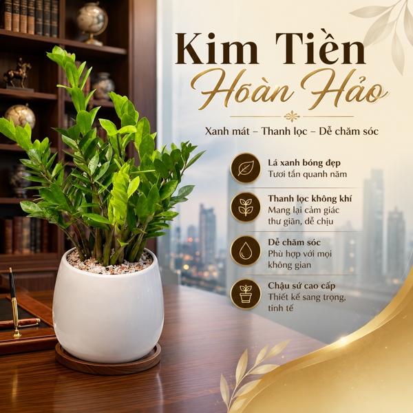 COMBO KIM TIỀN HOÀN HẢO