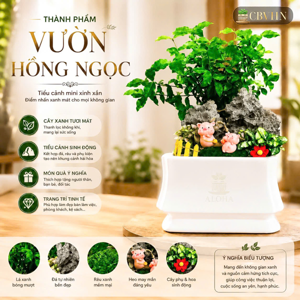 COMBO VƯỜN HỒNG NGỌC LỚN