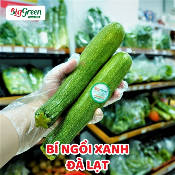 Bí Ngồi Xanh - Đà Lạt