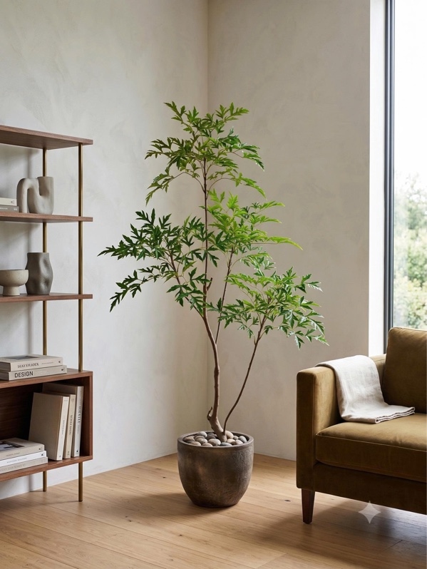 Cây đinh lăng 1,7m - Xanh - Cây - Hoa Lụa Vân Vượng
