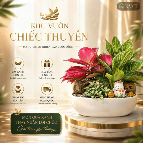 COMBO KHU VƯỜN CHIẾC THUYỀN