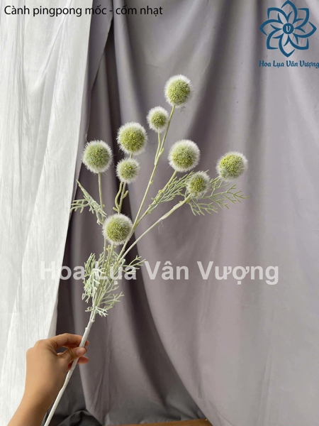 Cành pingpong mốc - cốm nhạt - Hoa cành dài - Hoa Lụa Vân Vượng