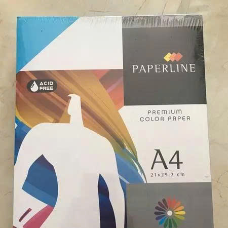 Giấy A4 màu mỹ thuật Paperline định lượng 80gsm (500 tờ/ ream)