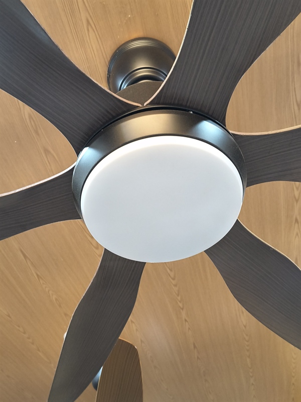 Quạt trần 001 sải cánh 1m37, 6 cánh ABS có đèn Ceiling Fanking