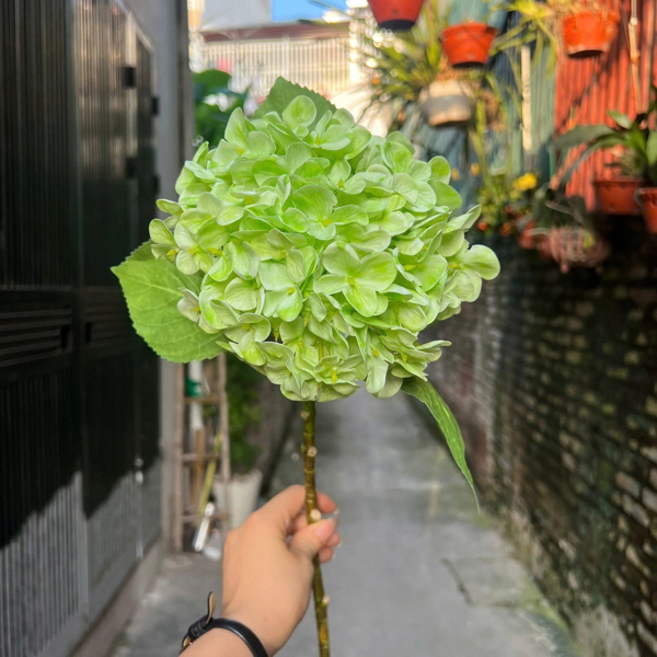 Tú cầu cao su to - cốm - Hoa cành dài - Hoa Lụa Vân Vượng