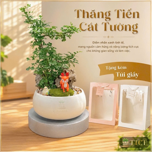 THÀNH PHẨM THĂNG TIẾN CÁT TƯỜNG ( CẦN THĂNG )