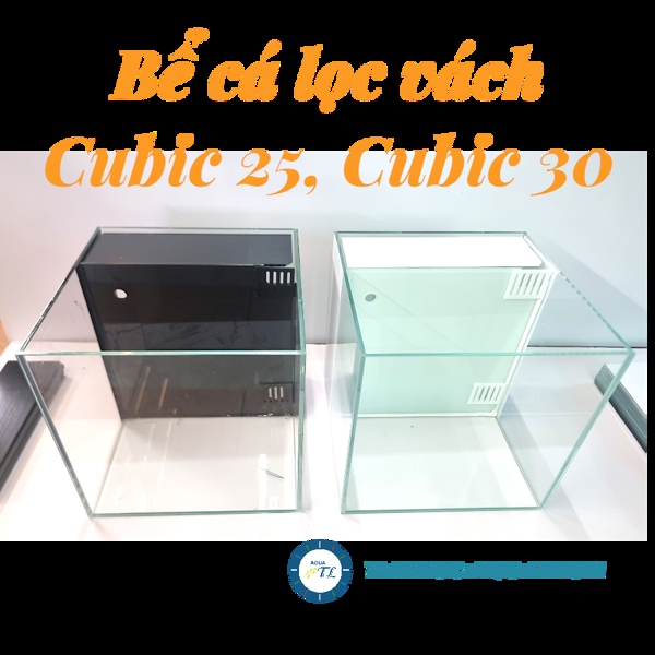 Bể kính siêu trong: Cubic 25 lọc vách, Cubic 30 lọc vách - 3 mặt siêu trong, siêu nét