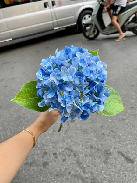 Tú cầu cao su to - xanh - Hoa cành dài - Hoa Lụa Vân Vượng