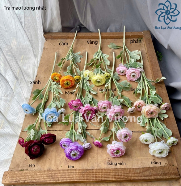 Trà mao lương nhật - phấn - Hoa cành dài - Hoa Lụa Vân Vượng