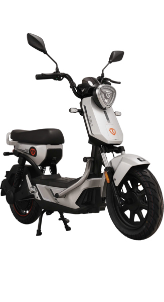 XE GẮN MÁY HAI BÁNH ĐIỆN TAILG GX30/MÀU XÁM BẠC