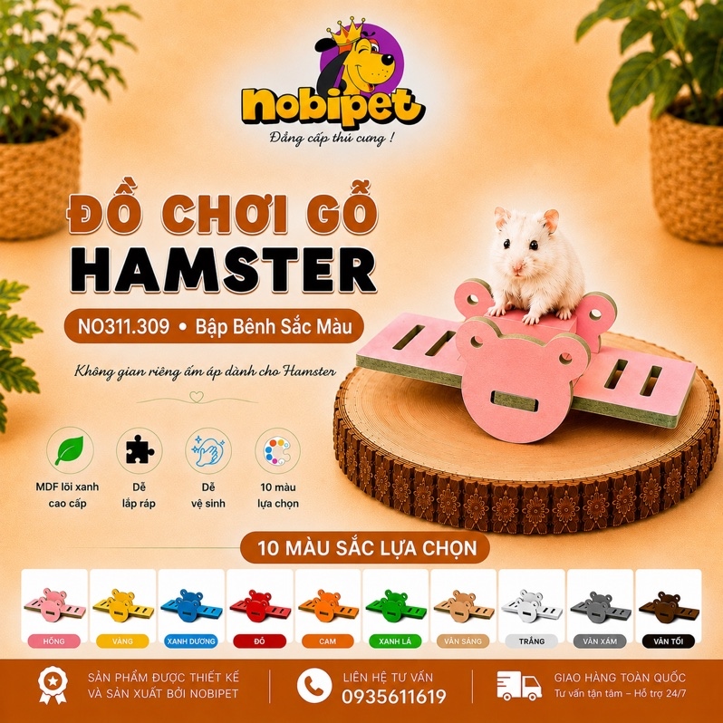 Bập Bênh Sắc Màu
