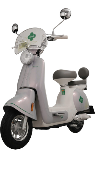 XE GẮN MÁY HAI BÁNH ĐIỆN TAILG JS50/MÀU XÁM ÁNH TÍM