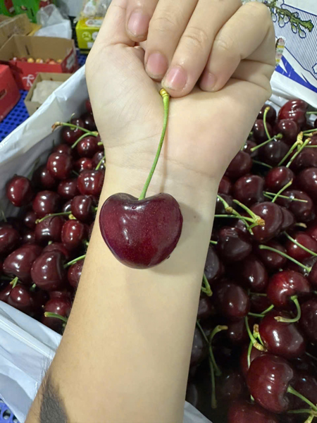 Cherry Mỹ size 9.5