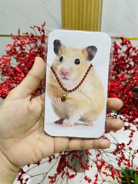 Vòng Cổ Hamster
