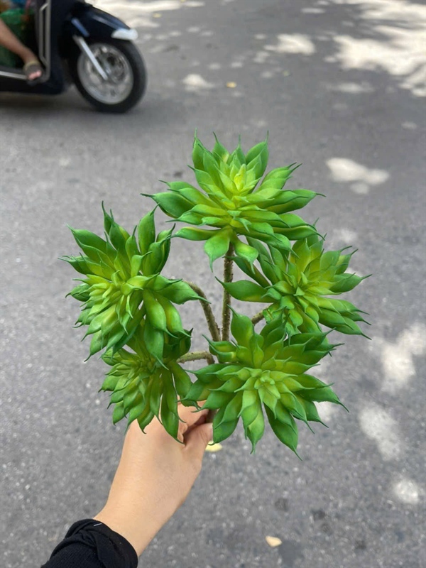 Cây hoa đá 5b - Xanh - Hoa đá - Hoa Lụa Vân Vượng