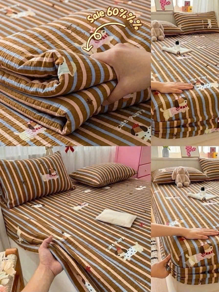 Set ga kẻ nâu con cún