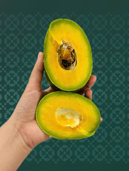 Combo 4kg Bơ sáp cổ Đaklak