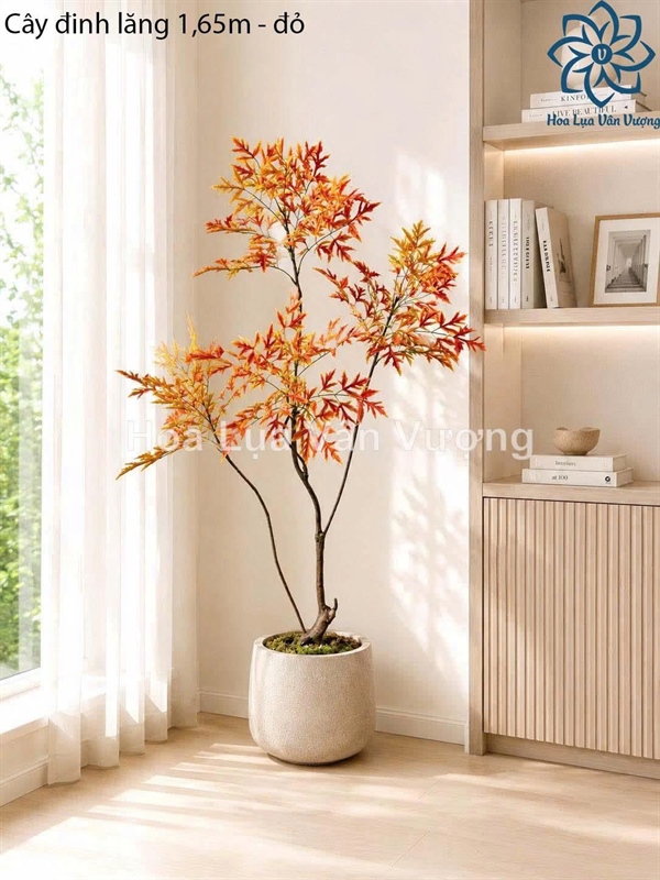 Cây đinh lăng 1,7m - Cam - Cây - Hoa Lụa Vân Vượng