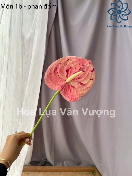 Môn 1b - phấn đốm - Hoa cành dài - Hoa Lụa Vân Vượng
