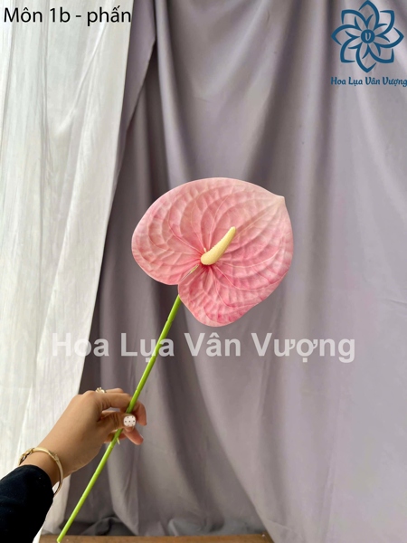 Môn 1b - phấn - Hoa cành dài - Hoa Lụa Vân Vượng