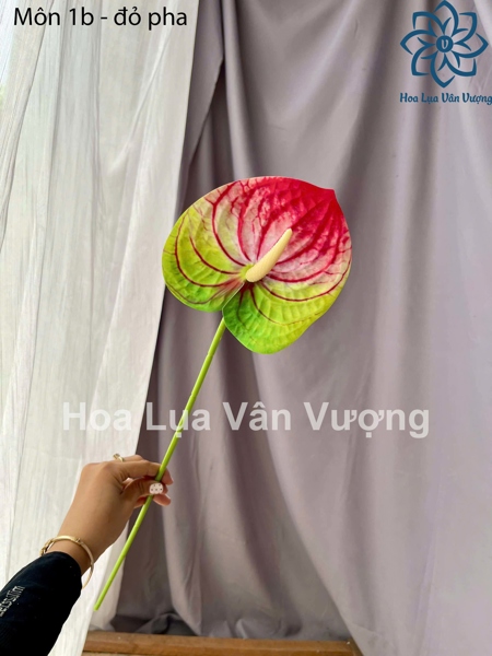 Môn 1b - đỏ pha - Hoa cành dài - Hoa Lụa Vân Vượng