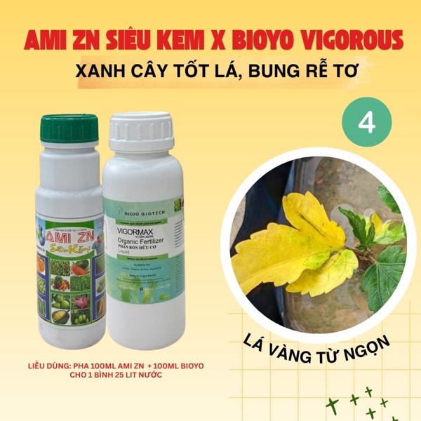 Ami Zn+ Bioyo - Khắc phục hiện tượng vàng lá, đùng đọt