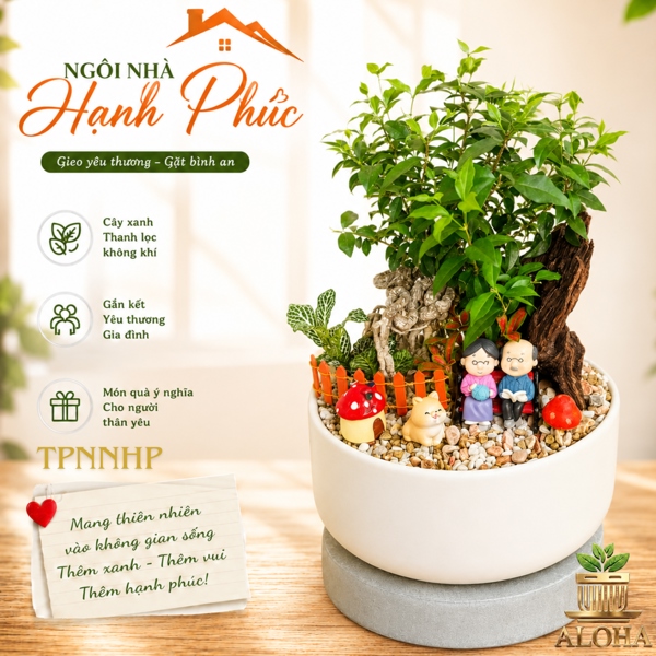 THÀNH PHẨM NGÔI NHÀ HẠNH PHÚC