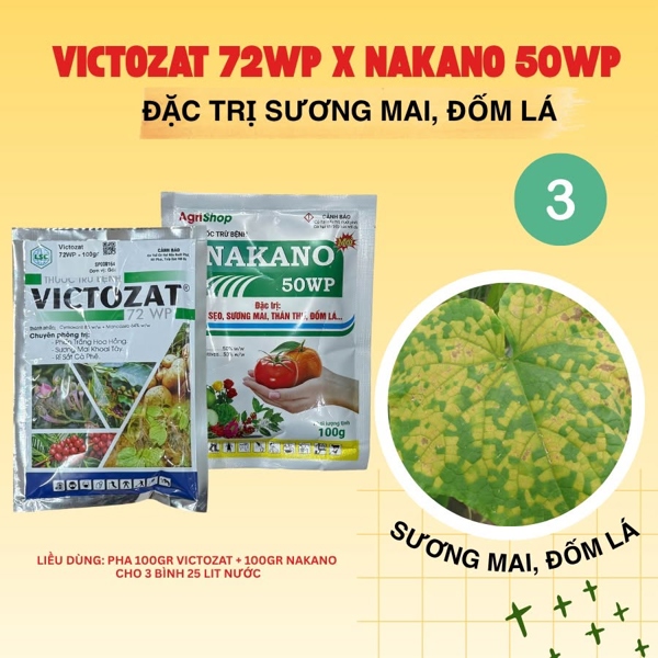 Victozat+ Nakano - đặc trị sương mai, đốm lá