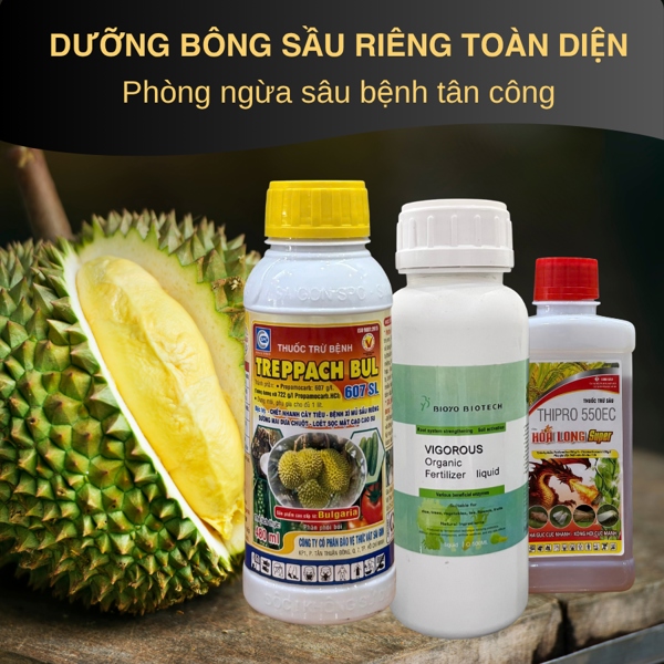 Treppeach Bull+ Bioyo+Thipro Hỏa Long - Dưỡng bông sầu riêng