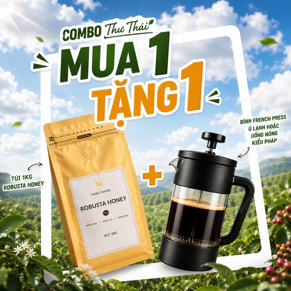 [COMBO THƯ THÁI] 1KG Cà Phê Robusta Honey (Xay Thô) & Bình Pha French Press Thủy Tinh Đa Năng 350ML NABA COFFEE